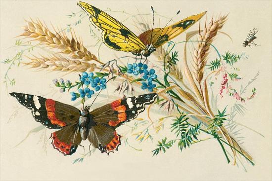 Art Print, , large