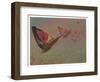 Butterflies with Riders (Oil on Paper Laid down on Board)-Albert Bierstadt-Framed Giclee Print