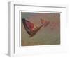 Butterflies with Riders (Oil on Paper Laid down on Board)-Albert Bierstadt-Framed Giclee Print