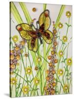 Butterflies, Yellow and Brown, 2016-Pat Scott-Stretched Canvas