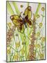 Butterflies, Yellow and Brown, 2016-Pat Scott-Mounted Giclee Print