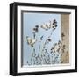 Butterflies-Caroline Gold-Framed Giclee Print