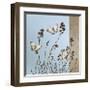 Butterflies-Caroline Gold-Framed Giclee Print