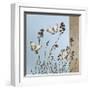 Butterflies-Caroline Gold-Framed Giclee Print