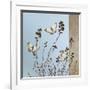 Butterflies-Caroline Gold-Framed Giclee Print