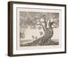 Butterflies-Rauch Hans Georg-Framed Collectable Print