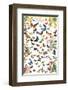 Butterflies-null-Framed Premium Giclee Print