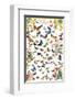 Butterflies-null-Framed Premium Giclee Print