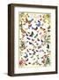 Butterflies-null-Framed Premium Giclee Print