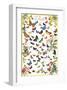 Butterflies-null-Framed Premium Giclee Print