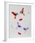 Butterflies-Pater Sato-Framed Limited Edition