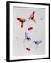 Butterflies-Pater Sato-Framed Limited Edition
