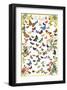 Butterflies-null-Framed Art Print