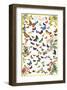 Butterflies-null-Framed Art Print