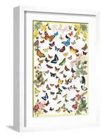 Butterflies-null-Framed Art Print