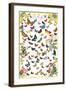 Butterflies-null-Framed Art Print