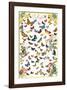 Butterflies-null-Framed Art Print