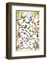 Butterflies-null-Framed Art Print