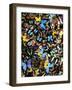 Butterflies-Darrell Gulin-Framed Photographic Print