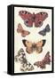 Butterflies-null-Framed Stretched Canvas
