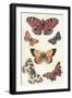 Butterflies-null-Framed Art Print