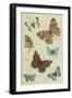 Butterflies-null-Framed Art Print