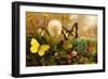 Butterflies-F.W. Kuhnert-Framed Art Print