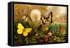 Butterflies-F.W. Kuhnert-Framed Stretched Canvas