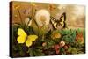 Butterflies-F.W. Kuhnert-Stretched Canvas