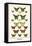 Butterflies-Albertus Seba-Framed Stretched Canvas