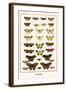 Butterflies-Albertus Seba-Framed Art Print