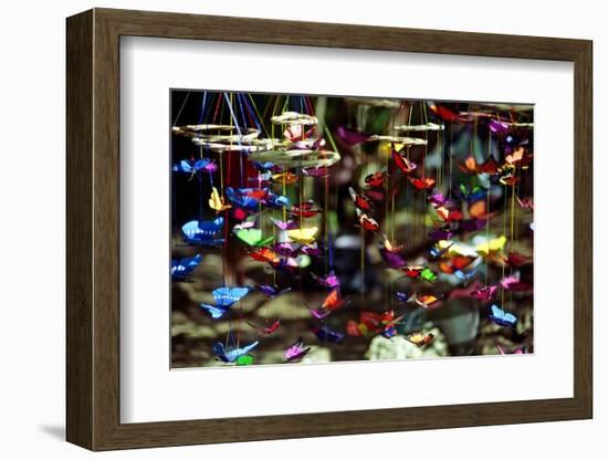 Butterflies-George Oze-Framed Photographic Print