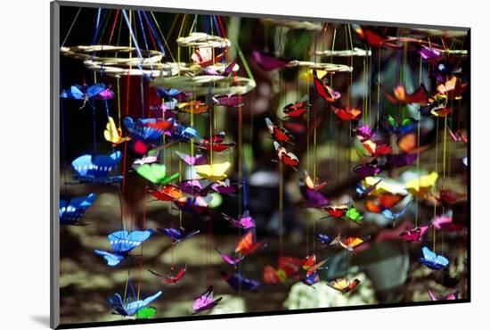 Butterflies-George Oze-Mounted Photographic Print