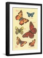 Butterflies-null-Framed Art Print