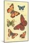 Butterflies-null-Mounted Art Print