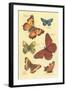 Butterflies-null-Framed Art Print