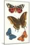 Butterflies-null-Mounted Art Print