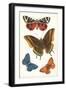 Butterflies-null-Framed Art Print