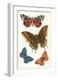 Butterflies-null-Framed Art Print