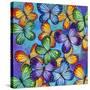 Butterflies-Carla Bank-Stretched Canvas