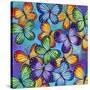 Butterflies-Carla Bank-Stretched Canvas