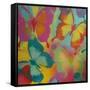 Butterflies-Abstract Graffiti-Framed Stretched Canvas