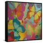 Butterflies-Abstract Graffiti-Framed Stretched Canvas