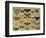 Butterflies-null-Framed Giclee Print