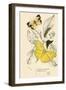 Butterflies-English School-Framed Premium Giclee Print