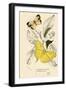 Butterflies-English School-Framed Premium Giclee Print