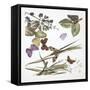 Butterflies-null-Framed Stretched Canvas