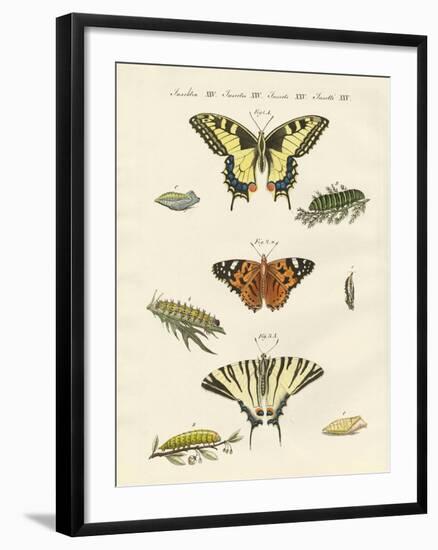 Butterflies-null-Framed Giclee Print