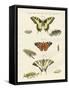 Butterflies-null-Framed Stretched Canvas