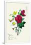 Gramercy White